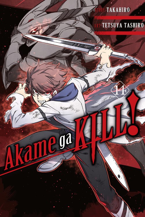 Akame Ga Kill! A Review